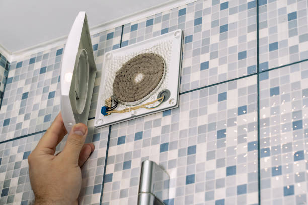 Best Dryer Vent Cleaning Services  in Mathews, LA