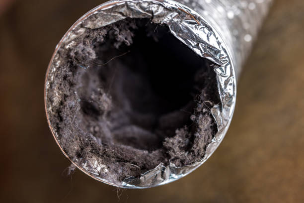 Best Affordable Duct Cleaning Services  in Mathews, LA